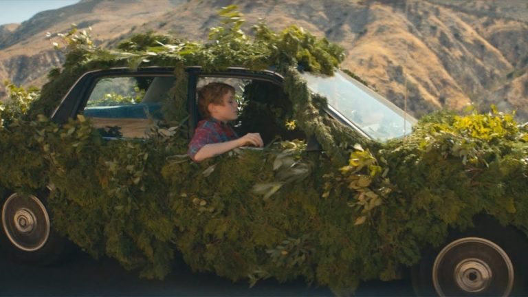 The war on drugs